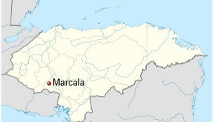 Feature: Honduras | Flhor Zelaya Ontreras | 18 Rabbit (18 Conejos) | Microlot